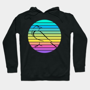 Raven Sunset Circle Hoodie